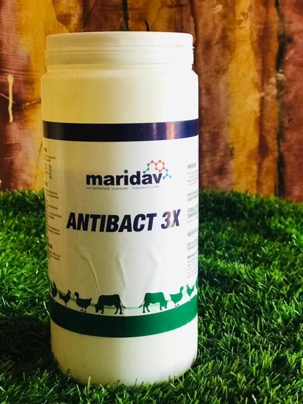 Antibact 3X, 1kg