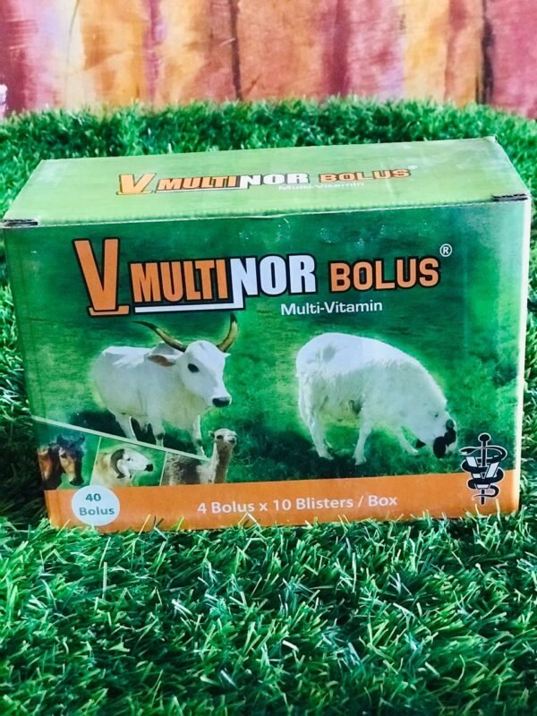 V- Multinor Bolus