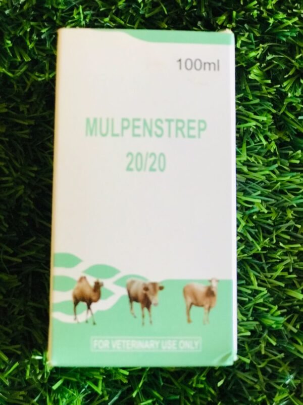 Mulpenstrep 20/20