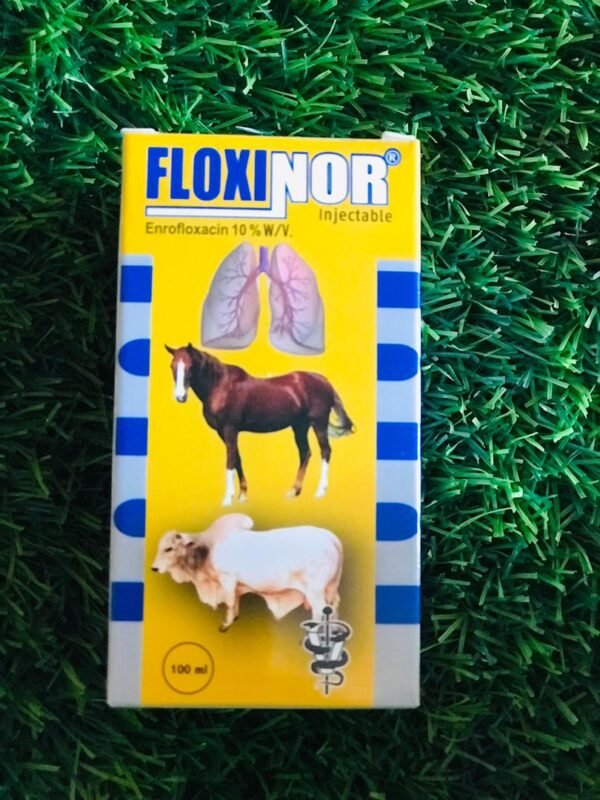 Floxinor