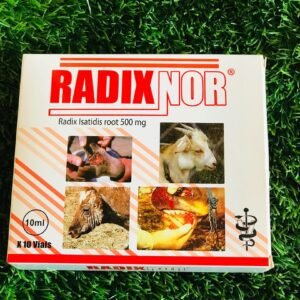 Radixnor