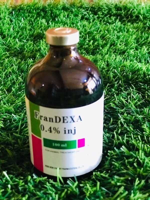 FranDexa 0.4 Injection