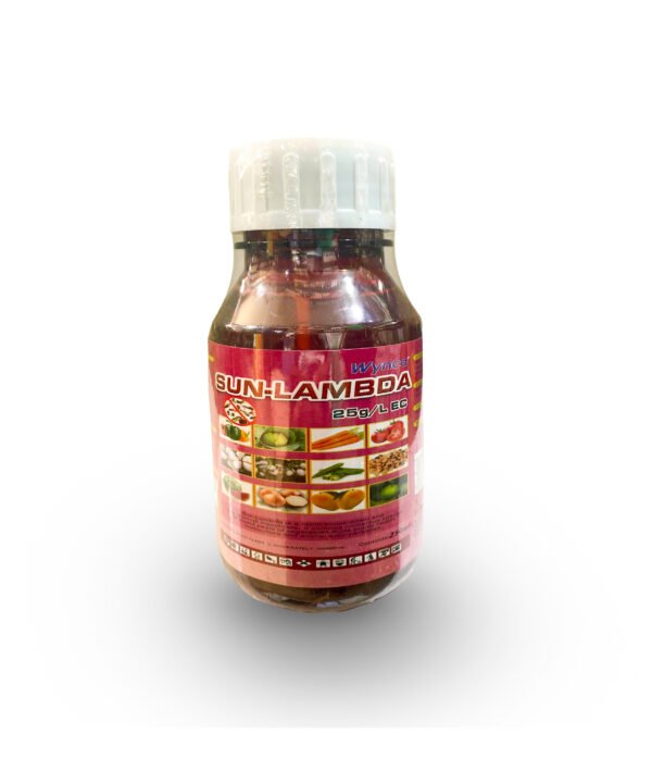 Sun-lambda Sun-lambda